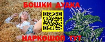 стафф Пенза