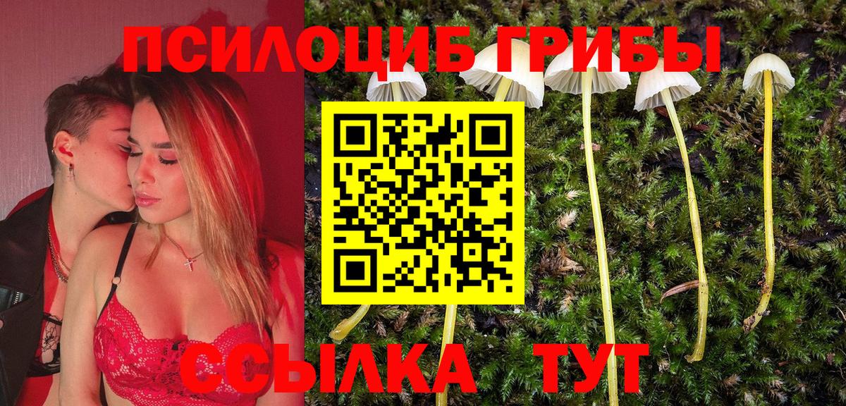 Солнечногорск  Псилоцибиновые грибы GOLDEN TEACHER  Вход с VPN 