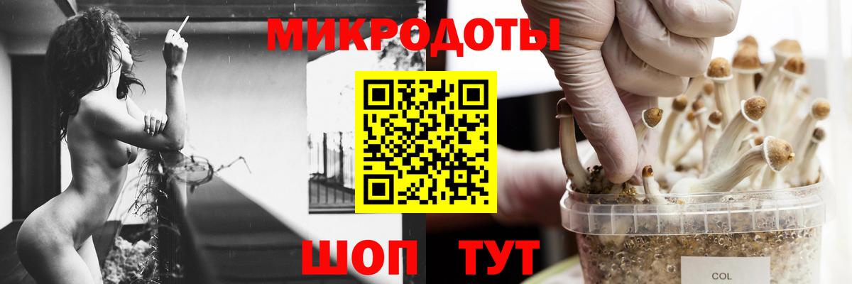 Галлюциногенные грибы Psilocybine cubensis Солнечногорск